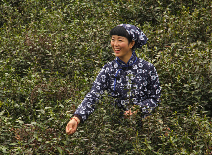 情欲弹壳